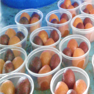 MISHTI - SWEET BASED FOOD